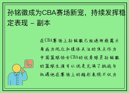 孙铭徽成为CBA赛场新宠，持续发挥稳定表现 - 副本